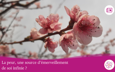 La peur, une source d&rsquo;émerveillement de soi infini ?