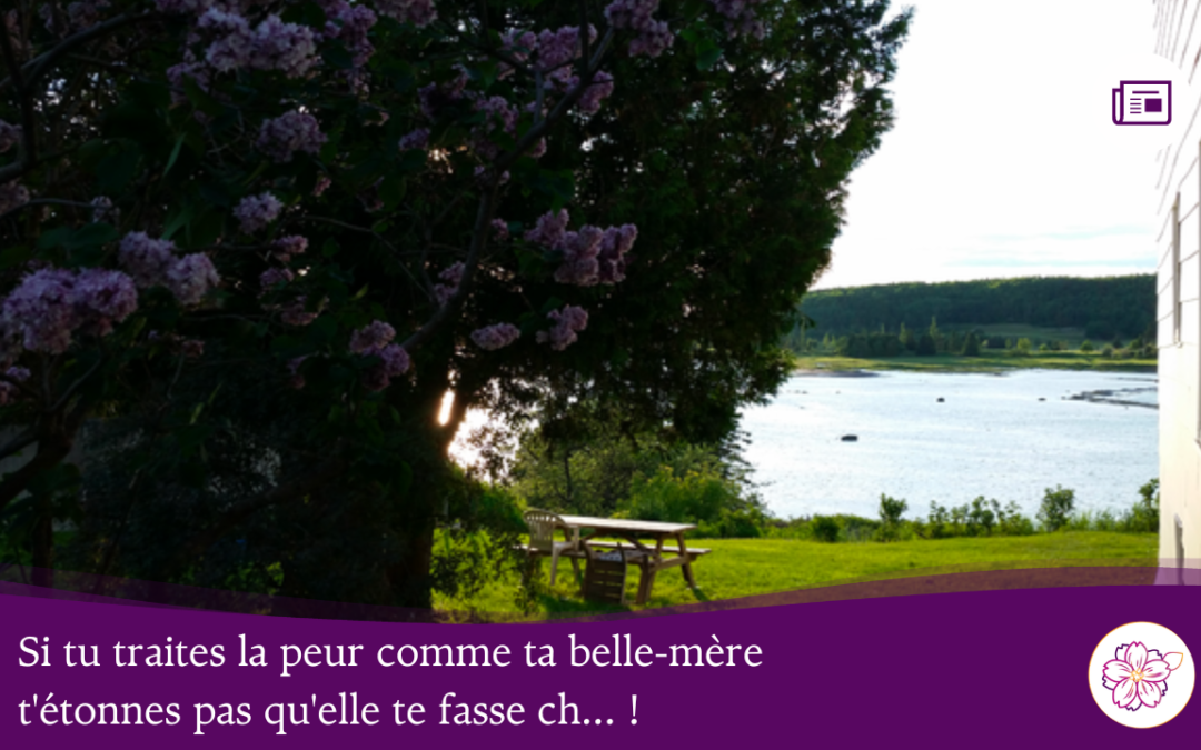 Si tu traites la peur comme ta belle-mère, t&rsquo;étonnes pas qu&rsquo;elle te fasse ch… !